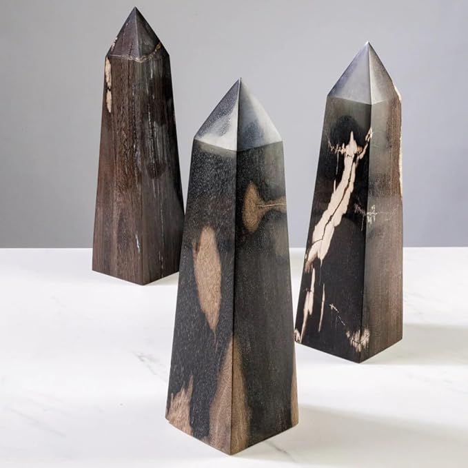 KALIFANO - 12" Black Petrified Wood Obelisk Point, Hand-Carved, Timeless, Unique, and Elegant Decor Accent, Office or Home Decor