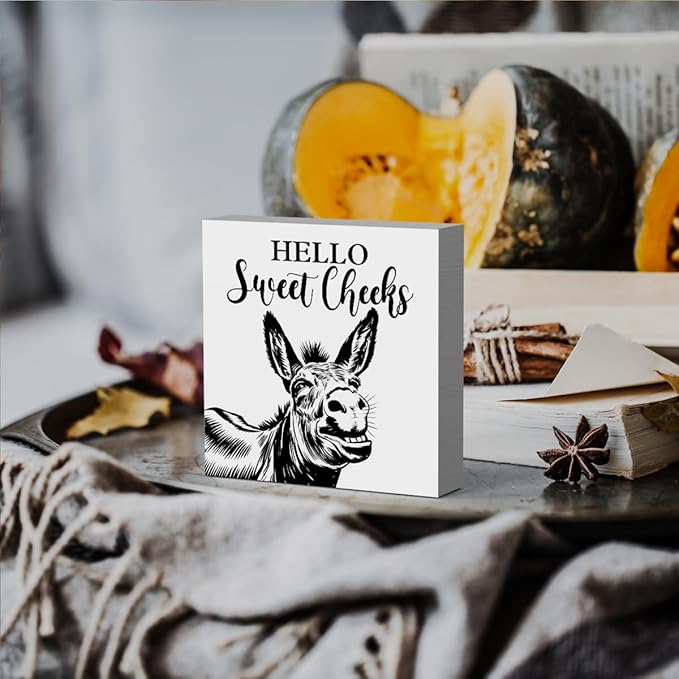 HTBIG Funny Donkey Bathroom Wooden Box Decor Hello Sweet Cheeks Wooden Box Logo Put It on a Bathroom Corner Shelf to Create a More Cheerful Ambiance 5 x 5 Inch