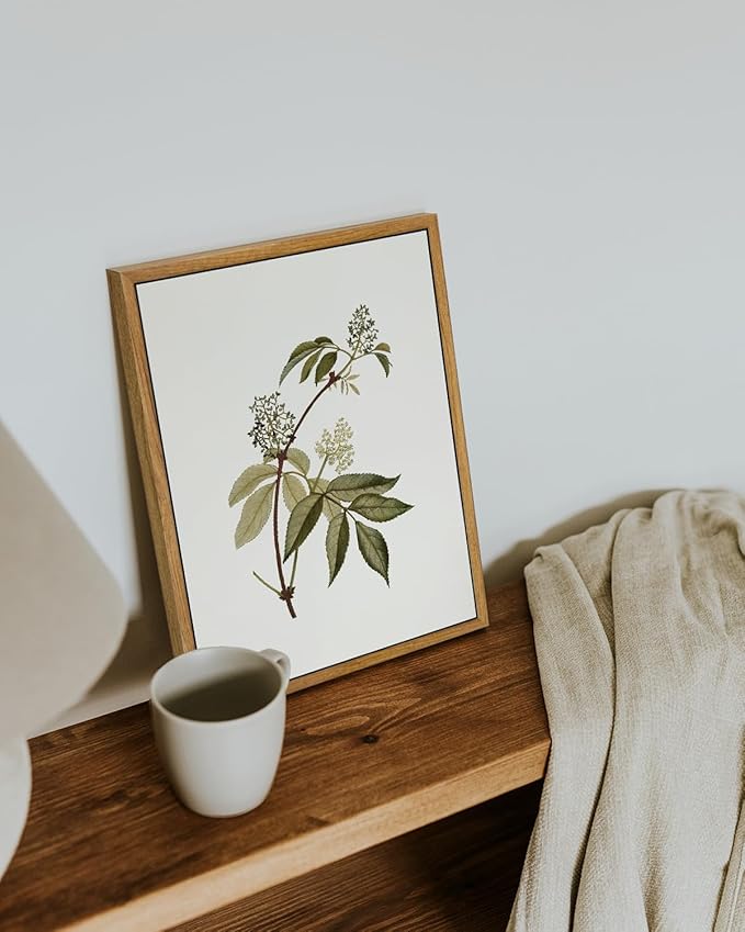 VIYYIEA Vintage Framed Canvas Wall Art Prints, Sambucus Racemosa Botanical Plant Bathroom Art Painting, Rustic Farmhouse Plant Pictures for Bedroom Living Room Bathroom, 9"x11"