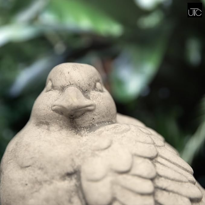 Urban Trends Bird Statues for Outdoor, Small Decorative Cement Bird Sculpture for Lawn, Patio Yard Lawn Figurine Decorative Ornament Home Decor Items: 8.25"x5.25"x6.25"H