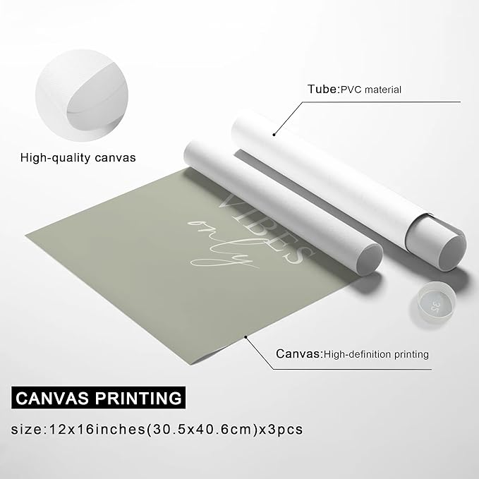 arfitest Matisse Green Canvas Wall Art Room Aesthetics Wall Decoration Minimalist Plant Sage Art Print 3 Posters for Living Room Bedroom or Office Decoration 12x16 Inches