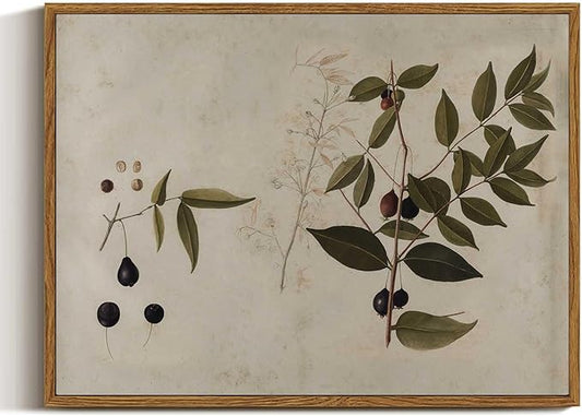 VIYYIEA Botanical Framed Wall Art, Plant Vintage Art Decor Room Aesthetic, 12x16 Inch Canvas Print Artwork, Watercolor Still Life Painting Wall Decor for Bedroom Bathroom Office