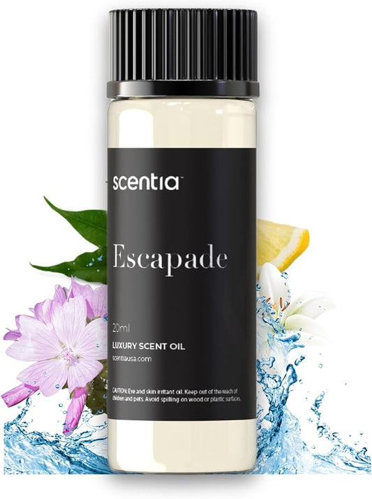 Scentia Hotel Diffuser Oil Inspired by 5-Star Hotel Scent - 20 mL 0.67 fl oz - Aromatherapy Fragrance Oil Inspired by 5 Star Hotel - Escapade