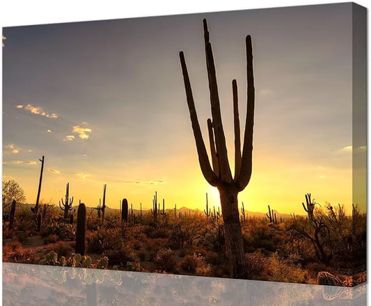 Sunset at Saguaro National Park Picture Wall Art for Living Room Bedroom Bathroom Home Decorations Arizona Cactus Landscape Poster Framed Artwork Canvas Prints Ready to Hang(18''H x 24''W)
