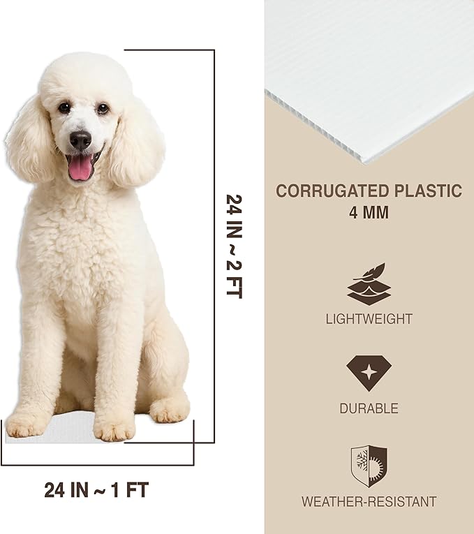 Dog - Poodle White Life Size Standee - 2FT Freestanding Coroplast Cutouts | Pets Animal Standup Photo Booths, Birthday & Halloween Decorations