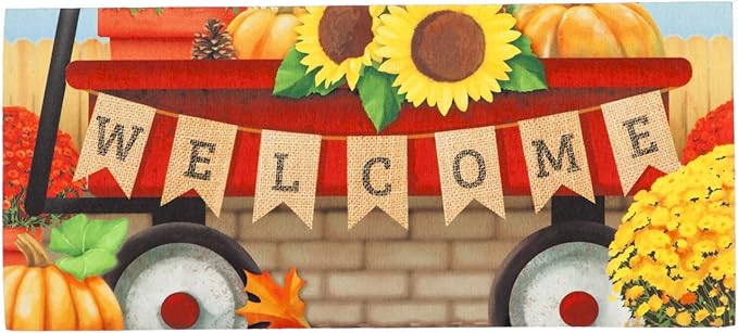 Evergreen Sassafras Fall Christmas Holiday Doormat Insert Bundle & Tray Set of 5, Interchangeable Entrance Door mats Indoor and Outdoor Welcome Mat 30 x 18 Tray Non Slip Backing Low Profile