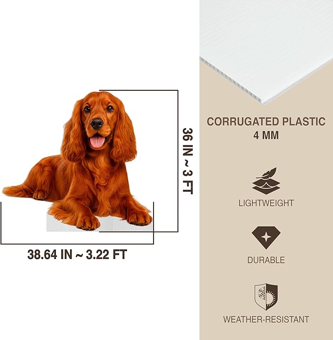 Dog - Cocker Spaniel Life Size Standee - 3FT Freestanding Coroplast Cutouts | Pets Animal Standup Photo Booths, Birthday & Halloween Decorations