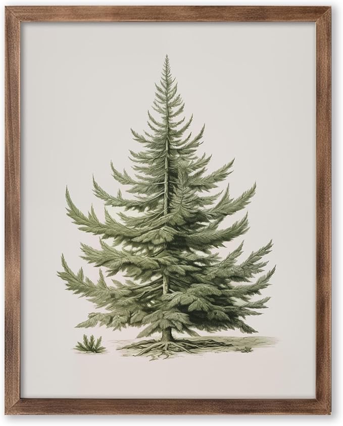 Christmas Tree Art Print, Vintage Fir Botanical Sketch, Christmas Tree Painting Print, Pine Tree Antique Print, Christmas Tree Wall Art