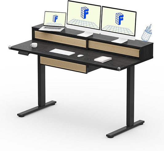 FLEXISPOT Q4 One-Piece Standing Desk with Rattan Drawers, 55 x 24 Inch Adjustable Height, Electric Stand Up Table with Monitor Shelf, Home Office Ergonomic Computer Desk with Memory Presets, Black