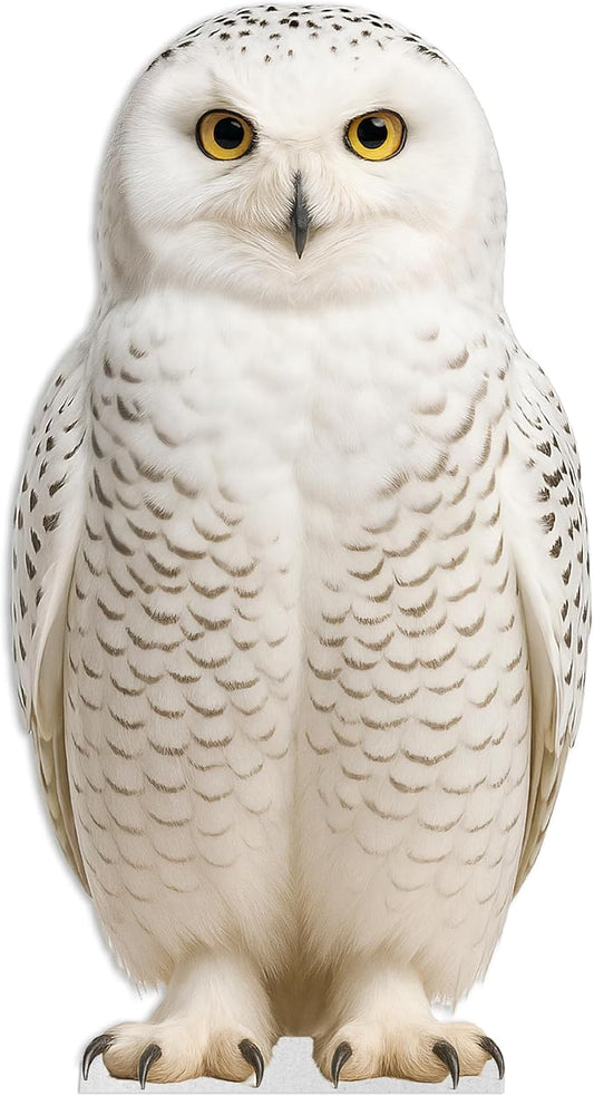 Owl Harry Life Size Standee - 2FT Freestanding Coroplast Cutouts | Safari Animal Standup Photo Booths, Jungle Party, Birthday & Halloween Decorations