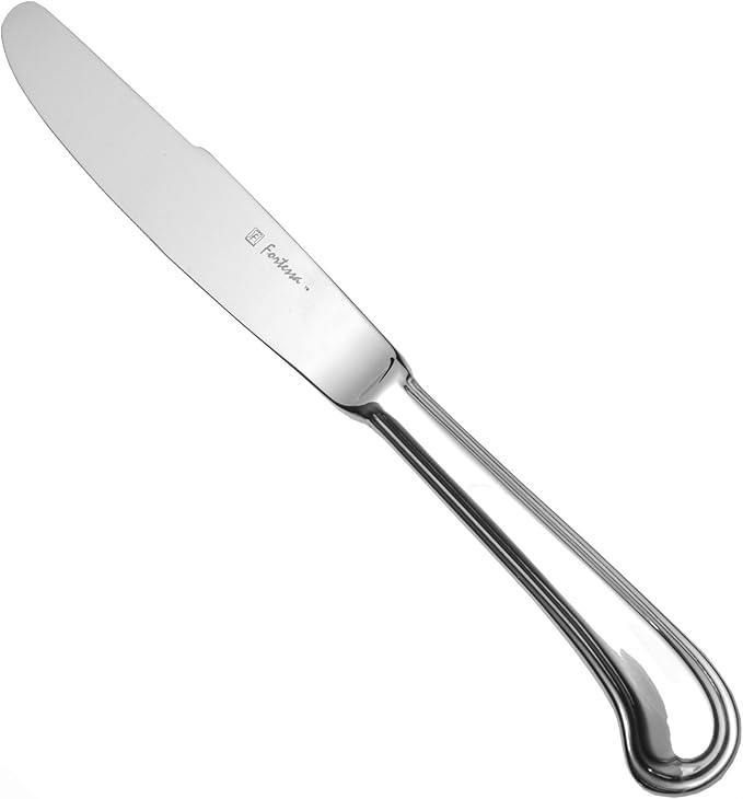 Fortessa San Marco 18/10 Stainless Steel Flatware Solid Handle Table Knife, Set of 12