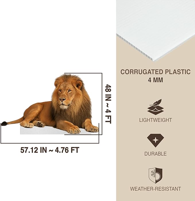 Lion - Lying Life Size Standee - 4FT Freestanding Coroplast Cutouts | Safari Animal Standup Photo Booths, Jungle Party, Birthday & Halloween Decorations