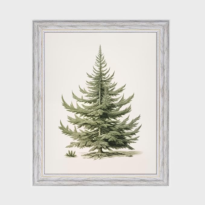 Christmas Tree Art Print, Vintage Fir Botanical Sketch, Christmas Tree Painting Print, Pine Tree Antique Print, Christmas Tree Wall Art