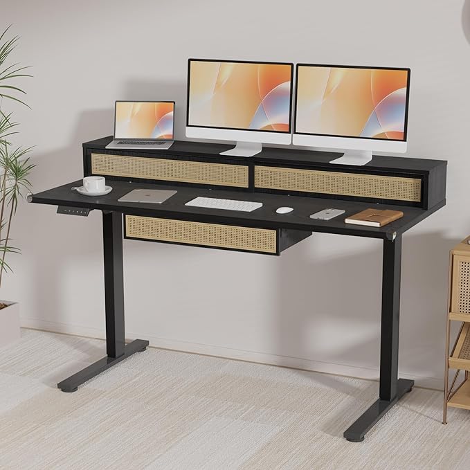 FLEXISPOT Q4 One-Piece Standing Desk with Rattan Drawers, 55 x 24 Inch Adjustable Height, Electric Stand Up Table with Monitor Shelf, Home Office Ergonomic Computer Desk with Memory Presets, Black