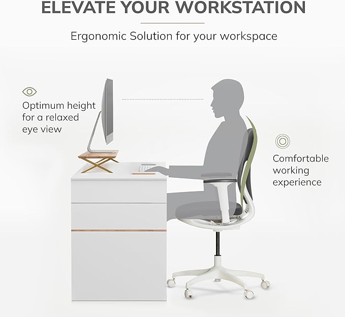 Anji Mountain Monitor Stand - Desktop Organizer & Laptop Riser, Ergonomic Monitor Riser, Space-Saving Monitor Stand for Desk, Durable Construction, Easy Assembly, Ideal for Home & Office,Natural