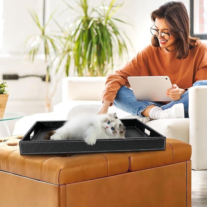 Ranslen Serving Tray with Handles, 20 x 16 Inch Ottoman Tray for Coffee Table, Breakfast, Kitchen Home Black Tray Decor Extra Large, Rectangular