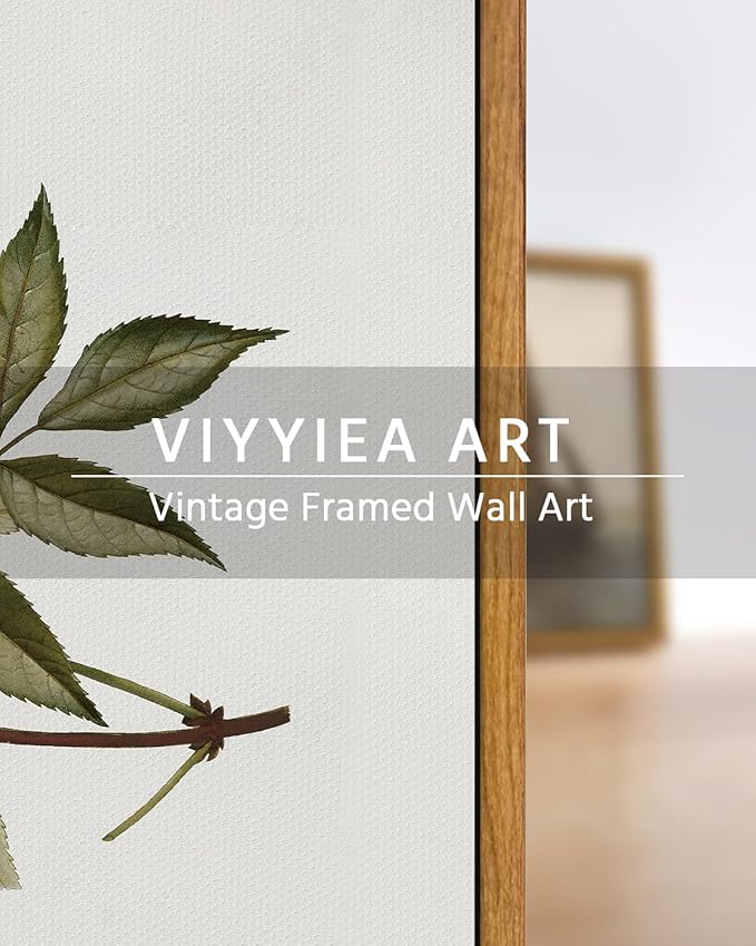 VIYYIEA Vintage Framed Canvas Wall Art Prints, Sambucus Racemosa Botanical Plant Bathroom Art Painting, Rustic Farmhouse Plant Pictures for Bedroom Living Room Bathroom, 9"x11"
