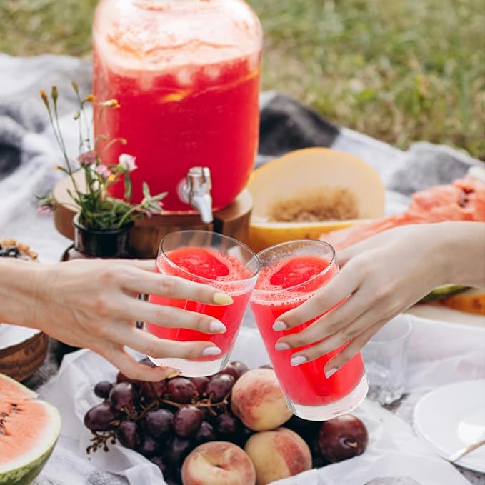 Acrylic Drinking Glasses Set of 6 - Clear Unbreakable Plastic Cups Reusable for Kitchen, Poolside & Patio - Shatterproof, Dishwasher-Safe, BPA-Free - 12oz & 17oz Highball Tumblers