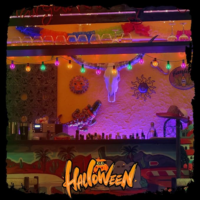 LED Outdoor String Lights 25Ft Orange Purple and Green Halloween Lights Outdoor with 27 Shatterproof LED Globe Bulbs, Connectable Halloween Decorations Lights for Home Patio Garden Christmas Party