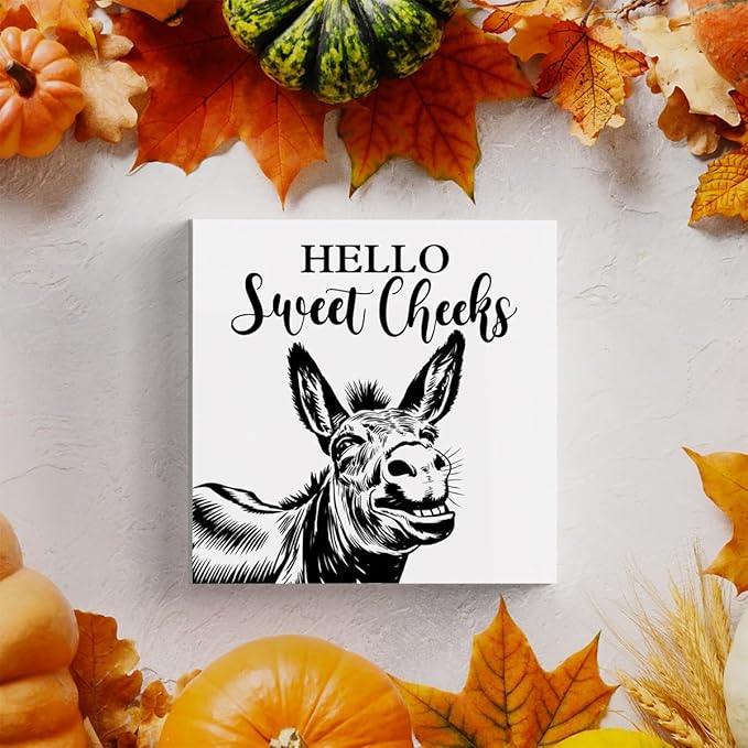 HTBIG Funny Donkey Bathroom Wooden Box Decor Hello Sweet Cheeks Wooden Box Logo Put It on a Bathroom Corner Shelf to Create a More Cheerful Ambiance 5 x 5 Inch