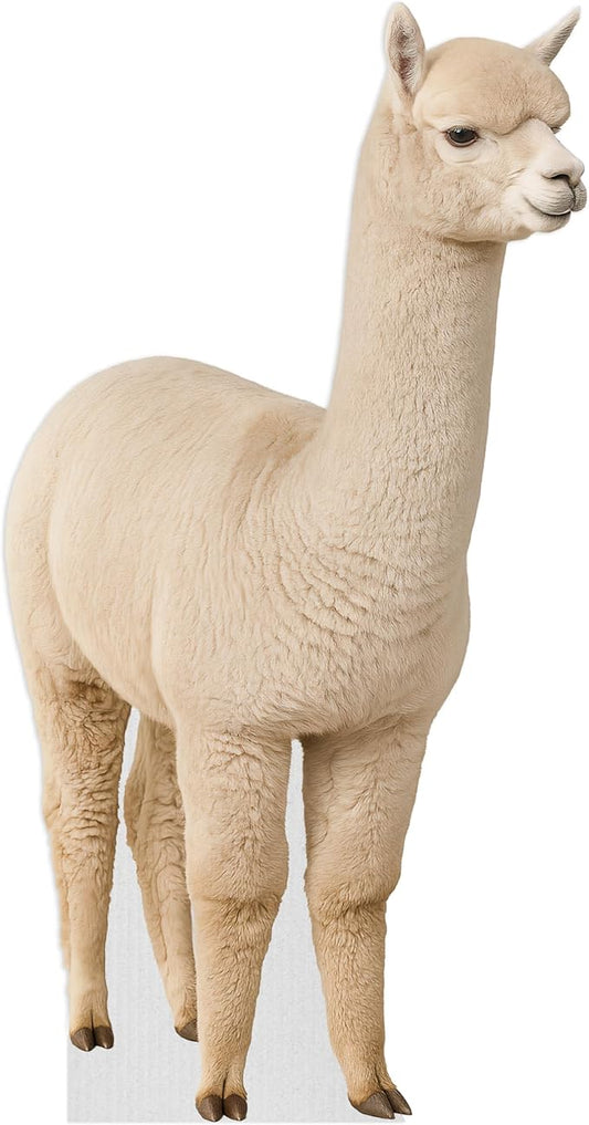 Alpaca Life Size Standee - 6.6FT Freestanding Coroplast Cutouts | Safari Animal Standup Photo Booths, Jungle Party, Birthday & Halloween Decorations