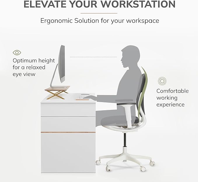 Anji Mountain Monitor Stand - Desktop Organizer & Laptop Riser, Ergonomic Monitor Riser, Space-Saving Monitor Stand for Desk, Durable Construction, Easy Assembly, Ideal for Home & Office,Biscotti