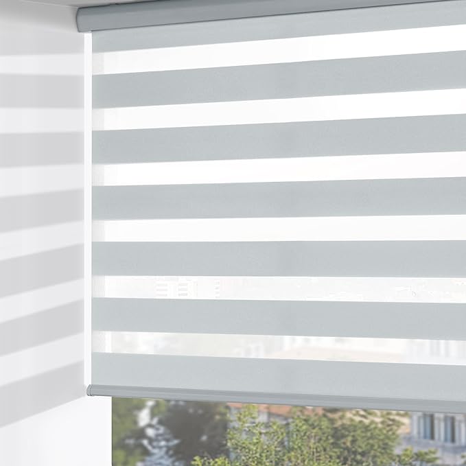 ChrisDowa Cordless Zebra Blinds for Windows, Dual Layer Free-Stop Light Filtering Window Roller Shades, Pull Down Privacy Zebra Shades for Home, Office, Bedroom, Door (53" W x 72" H, Light Grey)