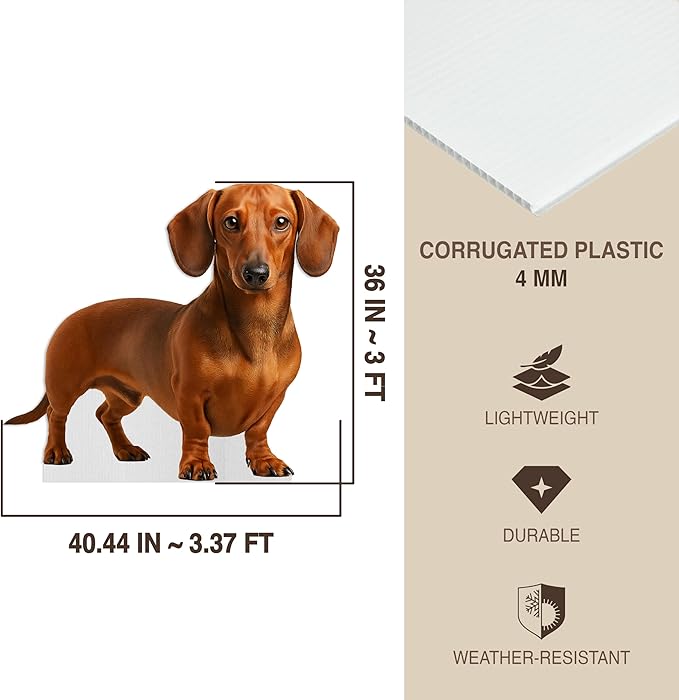 Dog - Dachshund Life Size Standee - 3FT Freestanding Coroplast Cutouts | Pets Animal Standup Photo Booths, Birthday & Halloween Decorations