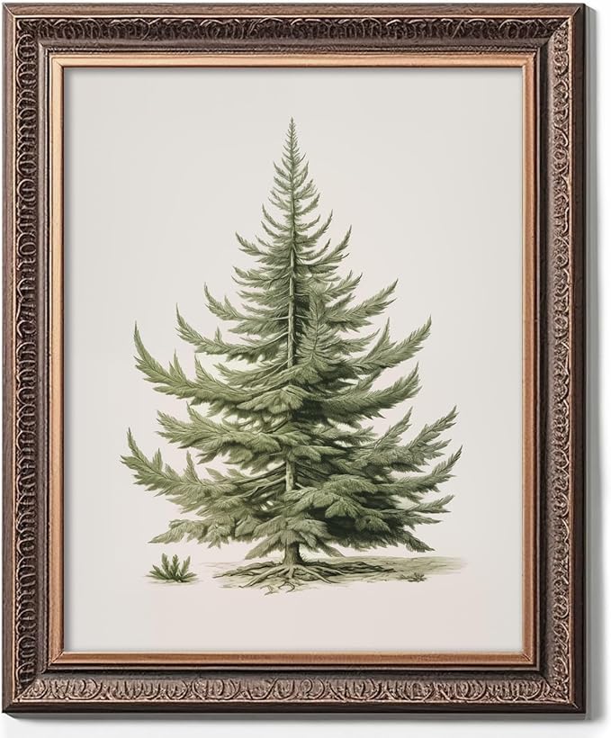 Christmas Tree Art Print, Vintage Fir Botanical Sketch, Christmas Tree Painting Print, Pine Tree Antique Print, Christmas Tree Wall Art