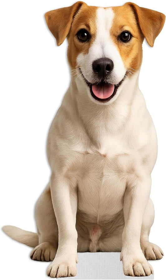 Dog - Jack Russel Life Size Standee - 2FT Freestanding Coroplast Cutouts | Pets Animal Standup Photo Booths, Birthday & Halloween Decorations