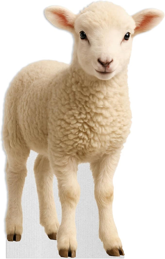 Lamb Life Size Standee - 4FT Freestanding Coroplast Cutouts | Farm Animal Standup Photo Booths, Birthday & Halloween Decorations