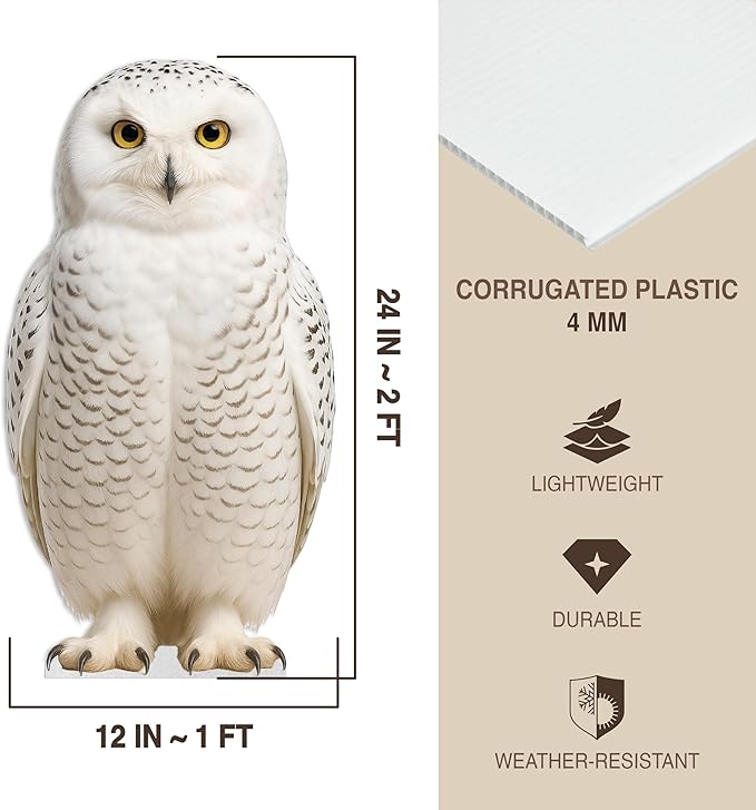 Owl Harry Life Size Standee - 2FT Freestanding Coroplast Cutouts | Safari Animal Standup Photo Booths, Jungle Party, Birthday & Halloween Decorations