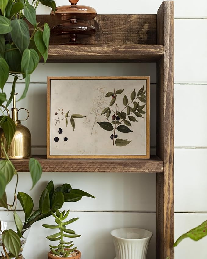 VIYYIEA Vintage Framed Canvas Botanical Wall Art Prints, Plant Rustic Farmhouse Wall Decor for Bedroom Living Room Bathroom, 9"x11"