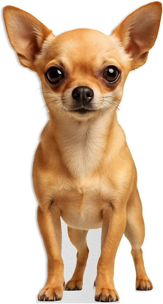 Dog - Chihuahua Life Size Standee - 2FT Freestanding Coroplast Cutouts | Pets Animal Standup Photo Booths, Birthday & Halloween Decorations