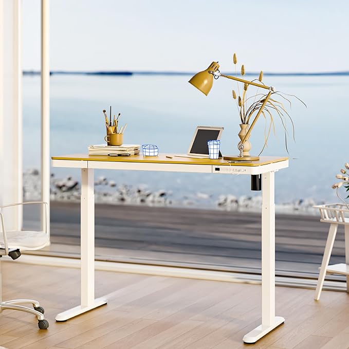 FLEXISPOT Electric Standing Desk with Drawer Storage Adjustable Height Quick Assembly Table w/USB Charge Ports, Child Lock （Natural Desktop + White Frame）
