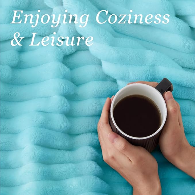 BEDELITE Twin Blanket for Couch & Bed, 300GSM Soft & Warm Fleece Blanket, Decorative and Giftable Striped Sky Blue Blankets for Women, Men, 60"x80"