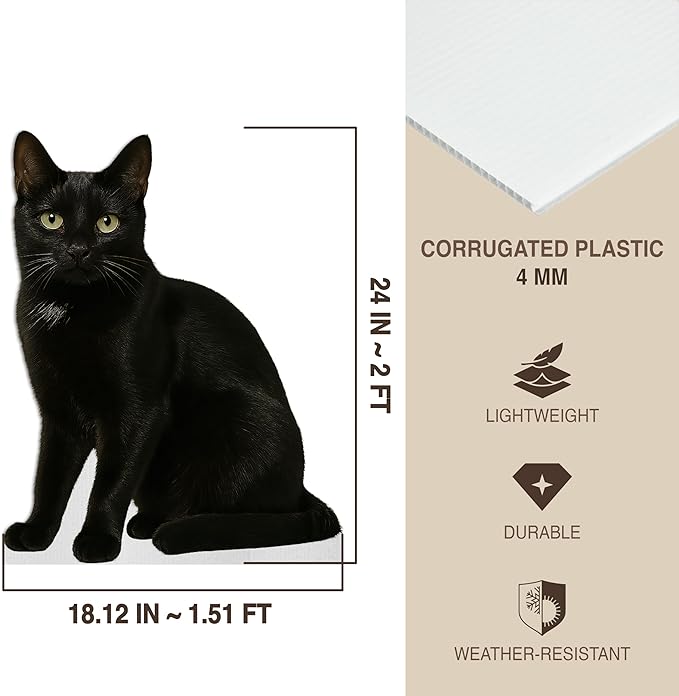 Black Cat Life Size Standee - 2FT Freestanding Coroplast Cutouts | Pets Animal Standup Photo Booths, Birthday & Halloween Decorations