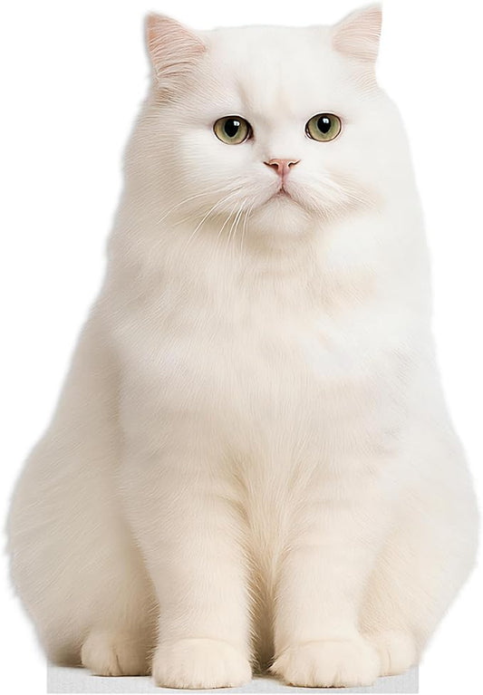 Cat - Persian White Life Size Standee - 2FT Freestanding Coroplast Cutouts | Pets Animal Standup Photo Booths, Birthday & Halloween Decorations