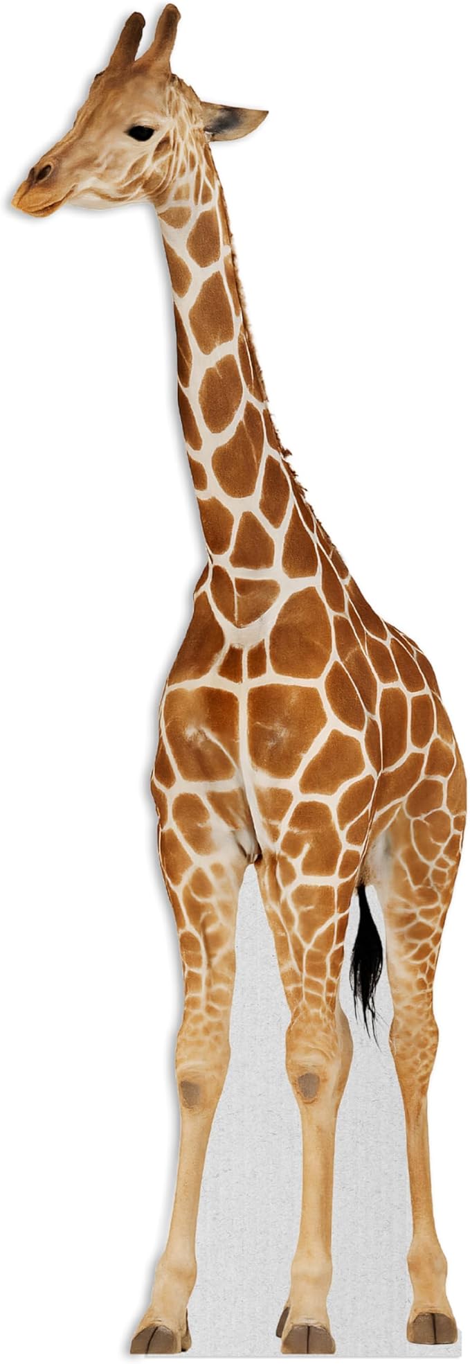 Giraffe Life Size Standee - 7FT Freestanding Coroplast Cutouts | Safari Animal Standup Photo Booths, Jungle Party, Birthday & Halloween Decorations, Style 1