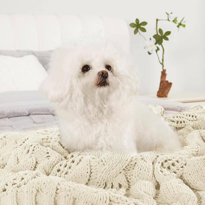 Amélie Home Chunky Knit Throw Blanket, Dual-Sided Soft Chenille Breathable Cable Knitted Blanket for Couch, Farmhouse Decorative Throw for Sofa & Chair, 60"x80", Ivory