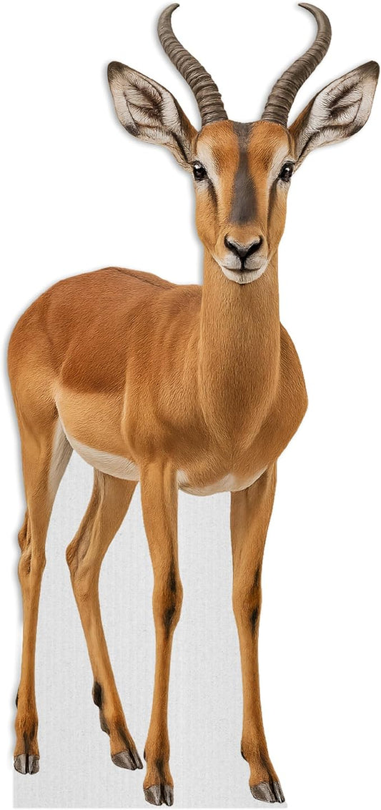 Deer Life Size Standee - 5FT Freestanding Coroplast Cutouts | Safari Animal Standup Photo Booths, Jungle Party, Birthday & Halloween Decorations