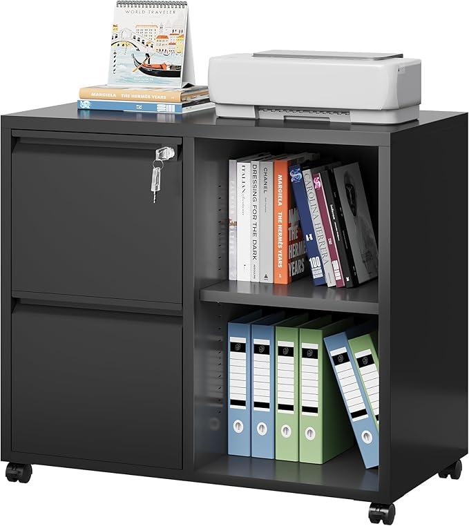 DEVAISE Metal Lateral File Cabinet with Lock, 2 Drawer Mobile Filing Cabinet with Shelf, Rolling Printer Stand fits Letter/A4 Size for Home Office, Black