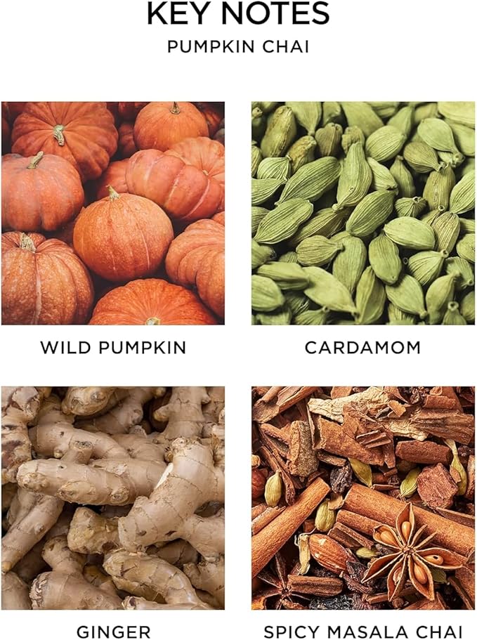 NEST New York Scented Classic Candle, Pumpkin Chai - 8.1 oz - Up to 60-Hour Burn Time - Reusable Glass Vessel