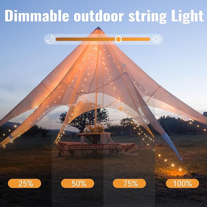WERTIOO 2 Pack Battery Operated String Lights 33ft 100 LEDs Globe Fairy Lights with Remote Control for Outdoor/Indoor, Tent, Camping, Bedroom,Garden,Christmas Tree[8 Modes,Timer ] (Warm White)