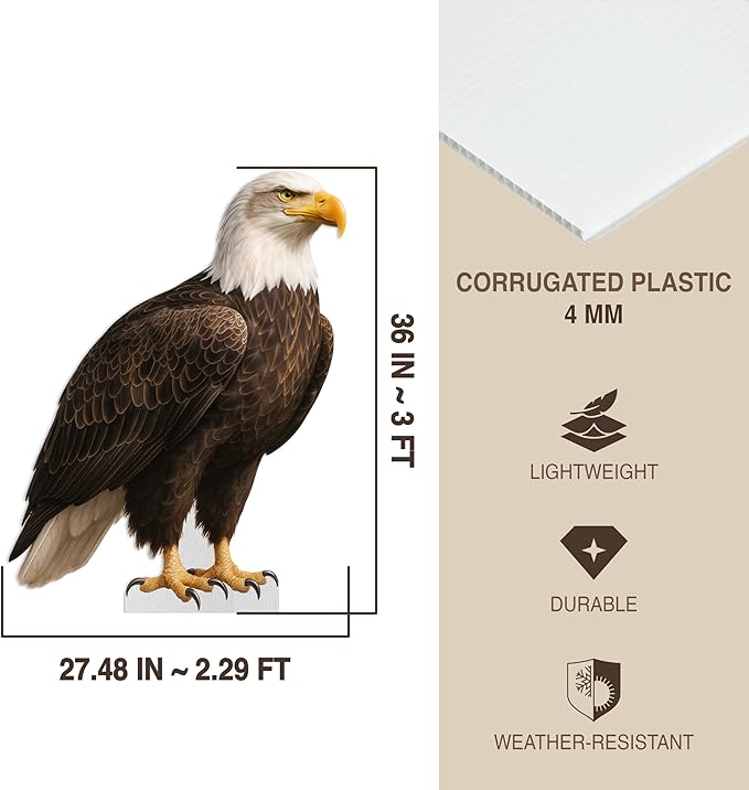 Eagle Life Size Standee - 3FT Freestanding Coroplast Cutouts | Safari Animal Standup Photo Booths, Jungle Party, Birthday & Halloween Decorations