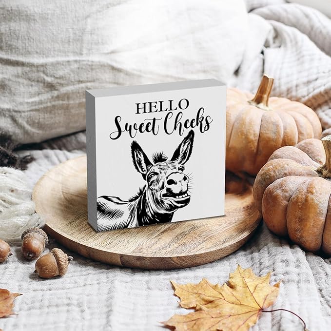 HTBIG Funny Donkey Bathroom Wooden Box Decor Hello Sweet Cheeks Wooden Box Logo Put It on a Bathroom Corner Shelf to Create a More Cheerful Ambiance 5 x 5 Inch