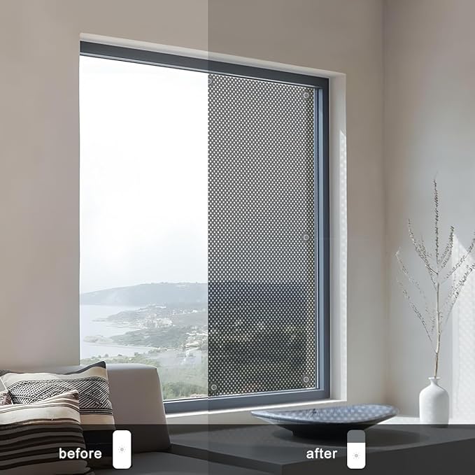 SCHRLING No Drill Cordless Light Filtering Window Shade, Transparent Temporary Shade for Filtering Glare, 47" W x 63" L with Suckers, for Living Room, Bedroom