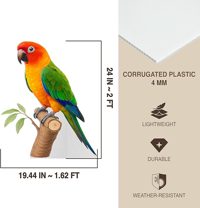 Parrot Life Size Standee - 2FT Freestanding Coroplast Cutouts | Jungle Animal Standup Photo Booths, Jungle Party, Birthday & Halloween Decorations