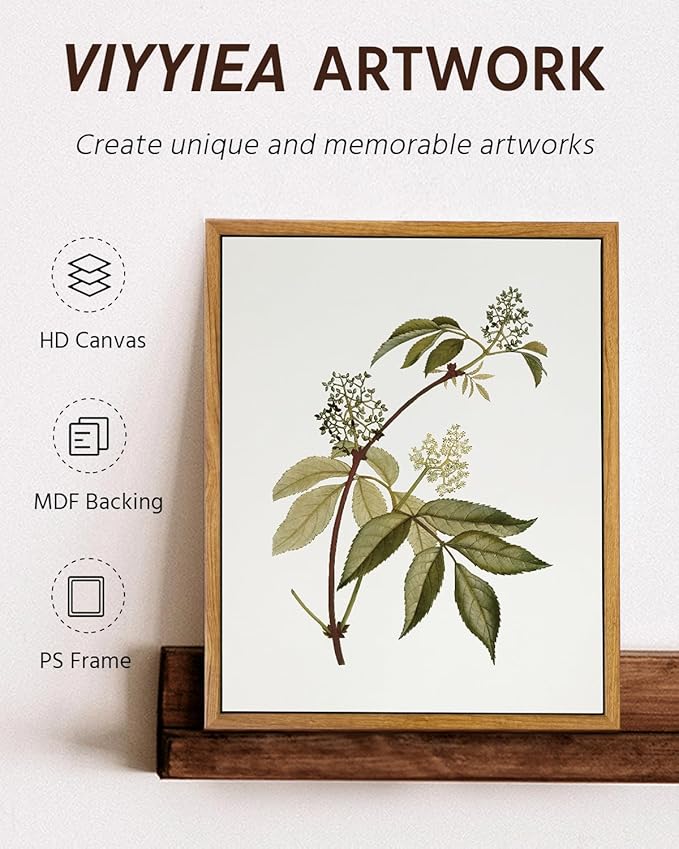 VIYYIEA Vintage Framed Canvas Wall Art Prints, Sambucus Racemosa Botanical Plant Bathroom Art Painting, Rustic Farmhouse Plant Pictures for Bedroom Living Room Bathroom, 9"x11"