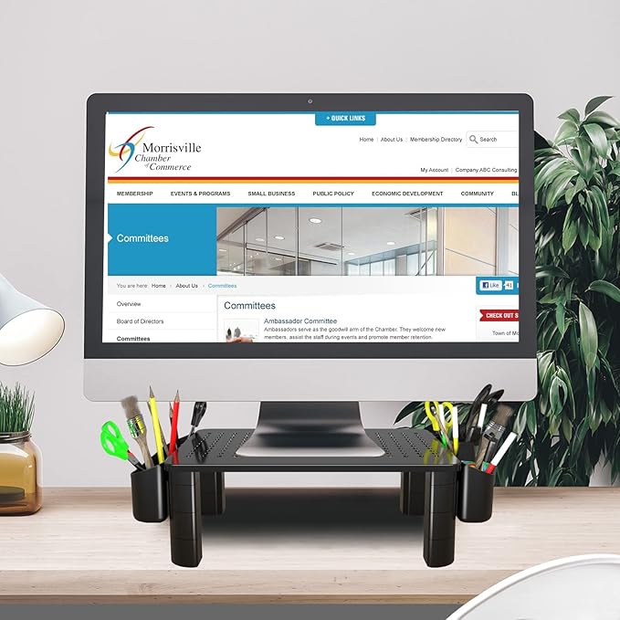 Pholiten Monitor Stand with Storage Drawer | Desk Organizer Riser for Computer Screens, Laptops | Office & Home Workspace Solution, 44lbs Capacity Weight，Black